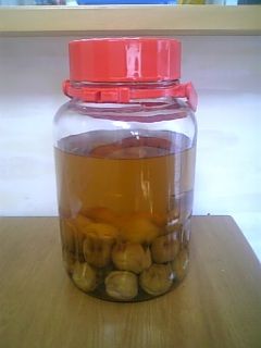 基本の果実酒♪梅酒-レシピのメイン写真