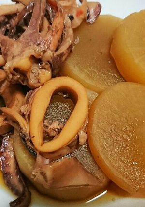 冬の定番おかず◎味染みいかと大根の煮物◎-レシピのメイン写真