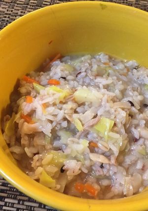 わんこご飯♪　野菜たっぷりバージョン-レシピのメイン写真