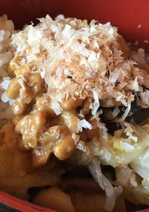 鍋の残りで納豆雑炊-レシピのメイン写真