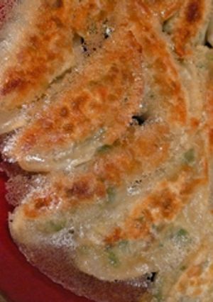 野菜のみ！餃子-レシピのメイン写真