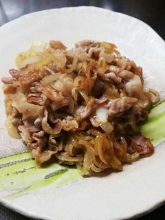 玉ねぎたっぷり!我が家のしょうが焼き♪-レシピのメイン写真