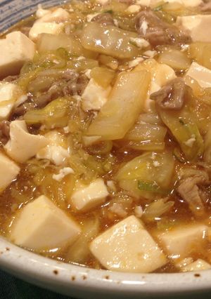 ご飯がすすむ！酸辣麻婆豆腐-レシピのメイン写真