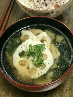 れんこんのお味噌汁-レシピのメイン写真