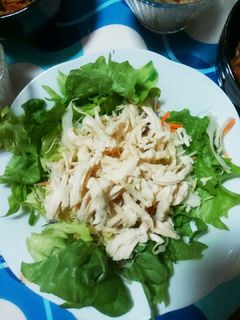 *蒸し鶏のサラダ*-レシピのメイン写真