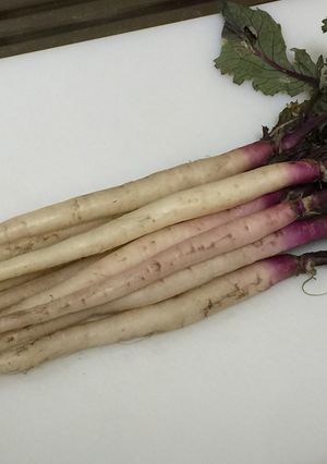 日野菜カブのバター炒め♪-レシピのメイン写真