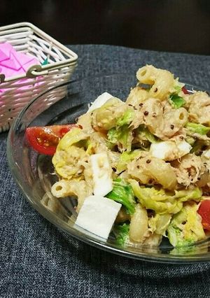 キャベツとショートパスタのサラダ☆-レシピのメイン写真