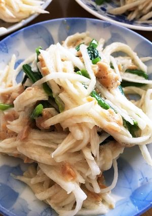 長芋 納豆サラダ-レシピのメイン写真