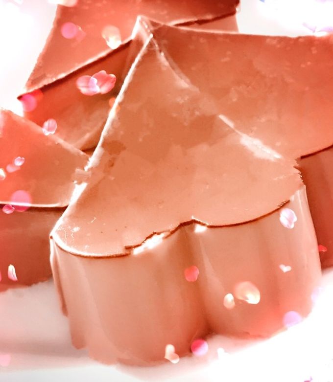 柔らかめ♡ココアで濃厚パンナコッタ by やらかしミコミコ