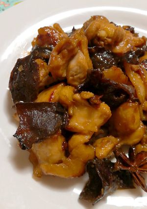 鶏肉の八角とファインスパイス煮-レシピのメイン写真