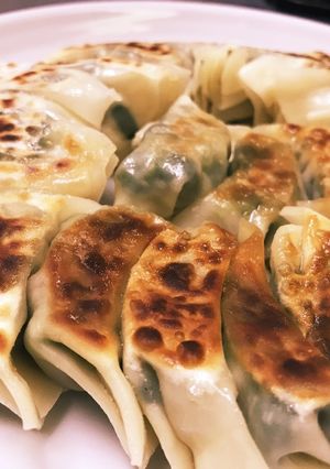 基本の餃子-レシピのメイン写真