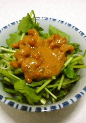 納豆かけセリとセロリのサラダ-レシピのメイン写真