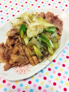 ⭐豚の生姜焼き長ネギ乗せ~♥-レシピのメイン写真