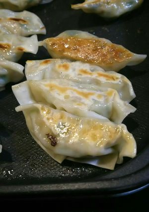 我が家のバカ食いヘルシー焼き餃子-レシピのメイン写真