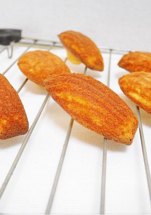 コツがわかれば簡単、本格マドレーヌ-レシピのメイン写真