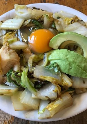 鶏胸肉と白菜の塩昆布炒め-レシピのメイン写真