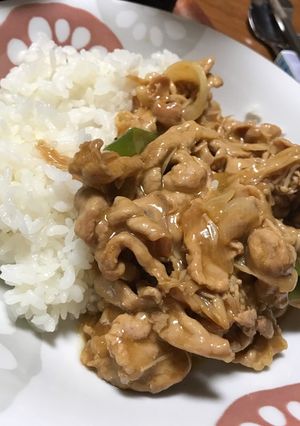 お蕎麦屋さんみたいなカレー丼-レシピのメイン写真