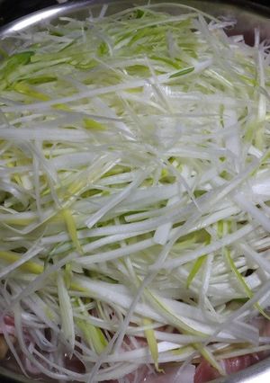 山盛り！白髪ねぎ鍋-レシピのメイン写真
