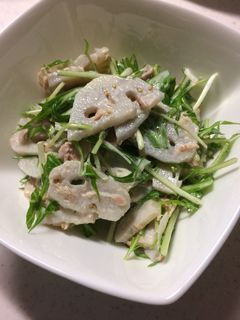 レンコンと水菜とツナのサラダ-レシピのメイン写真