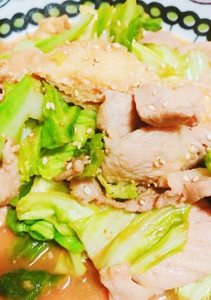 豚こま切れ肉と春キャベツの甘味噌炒め-レシピのメイン写真