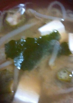 豆腐もやしおくらワカメ大根の味噌汁-レシピのメイン写真