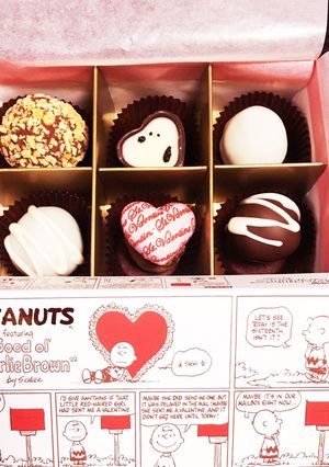 簡単。スヌーピー生チョコ キャラメル風味-レシピのメイン写真
