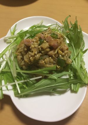 えのきともやしでインドネシア風チャーハン-レシピのメイン写真