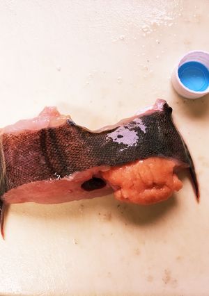 魚の下処理、簡単便利-レシピのメイン写真