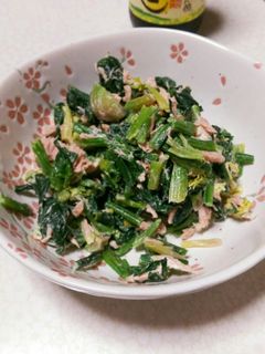 ほうれん草とシーチキンのマヨネーズ和え-レシピのメイン写真