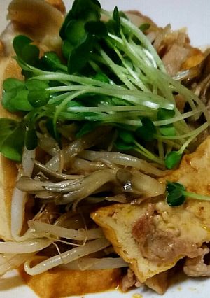 厚揚げ もやし 豚肉のピリ辛煮♡-レシピのメイン写真