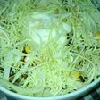 野菜嫌いの巣もぐり唐揚げ丼!