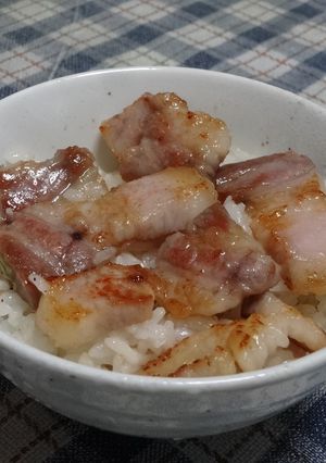 塩豚丼♬-レシピのメイン写真