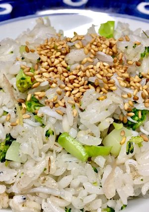 しらすとブロッコリーのガーリック炒飯-レシピのメイン写真