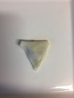 半分餃子の皮子供用餃子包み方-レシピのメイン写真