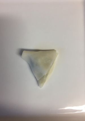 半分餃子の皮子供用餃子包み方-レシピのメイン写真