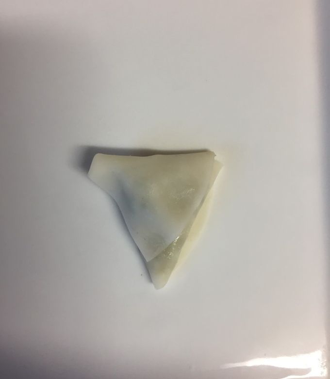 半分餃子の皮子供用餃子包み方-レシピのメイン写真