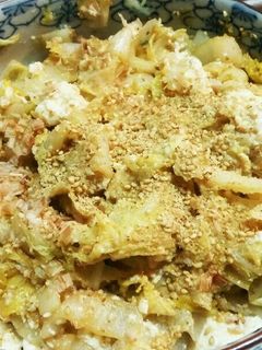 白菜と豆腐の胡麻和え(๑′ᴗ‵๑)✋-レシピのメイン写真