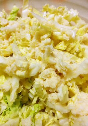 おからし酢味噌の白菜サラダ-レシピのメイン写真
