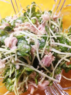 かいわれとツナの簡単サラダ-レシピのメイン写真