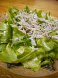 レタスのしらすぽん酢サラダ