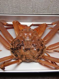 *カニのゆで方*蒸す編~応用可~-レシピのメイン写真