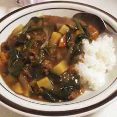 美味しいほうれん草カレー-レシピのメイン写真