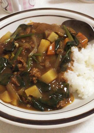 美味しいほうれん草カレー-レシピのメイン写真