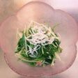 水菜消費。簡単レシピ。