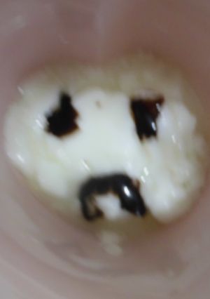 年中児作　チョコヨーグルト-レシピのメイン写真