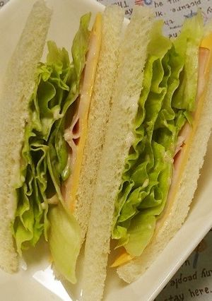 レタスたっぷり！シャキシャキレタスサンド-レシピのメイン写真