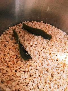 圧力鍋で玄米・押し麦ごはん-レシピのメイン写真