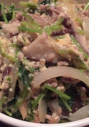 ミンチ丼-レシピのメイン写真