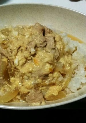 【FFXV】ふわとろ親子丼-レシピのメイン写真