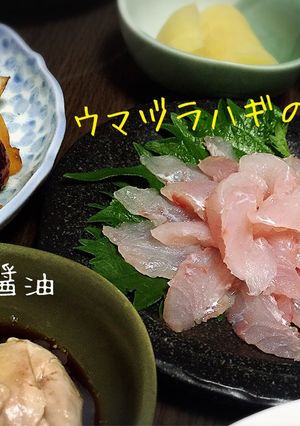 ウマヅラハギのお刺身・肝醤油☆-レシピのメイン写真